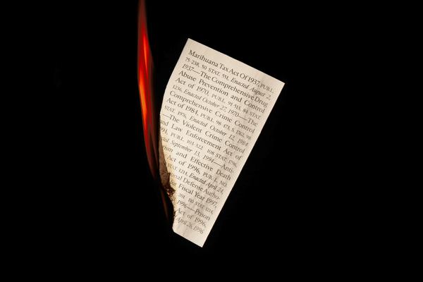 Burn Book: Criminal Justice Papers