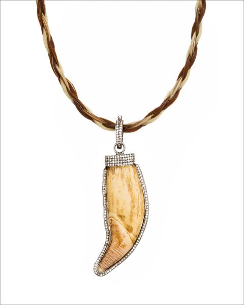 Fossil Bear Tooth Pendant (GN332)