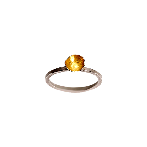 Fragment Gold Ring