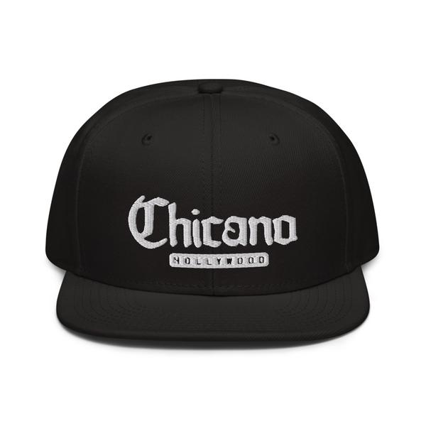 Snapback Logo Hat